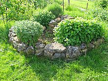 L'optimisation des cultures est recherchée, plutôt que leur maximisation à tout prix, ici une spirale d'aromatiques en début d'été.