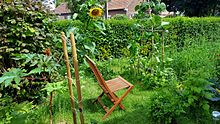 Jardin cultivé en permaculture dans le nord de la France.